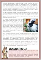 Vorschau - Arbeitsblätter - DAS KANINCHEN - Haustiercheck - Seite 2