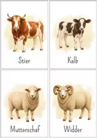 Vorschau - Bildkarten - Lernkarten Bauernhoftiere | Tiere Bildkarten Wortkarten Montessori | DaZ Kindergarten Sprachförderung - Seite 3