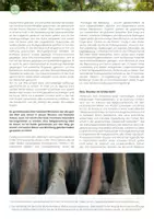 Vorschau - Stundenentwürfe - Du bewegst die Welt. Simão Bororo und Rudolf Lunkenbein – gemeinsam aufstehen für eine bessere Welt - Seite 1