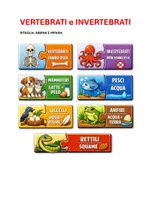 anteprima - Materiale di supporto/inclusione - Vertebrati&InvertebratiPuzzleEasy - Pagina di copertina