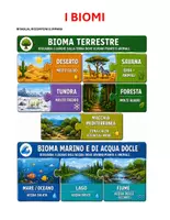 anteprima - Materiale di supporto/inclusione - BiomaPuzzle - Pagina di copertina