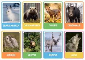 anteprima - Flashcard - AMBIENTI EUROPEI FLASH CARDS - Pagina 2