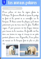 Aperçu - Apprentissages en autonomie - Rallye copie le monde polaire - Page 1