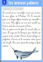 Aperçu - Apprentissages en autonomie - Rallye copie le monde polaire - Page 3