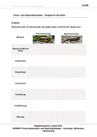 Vorschau - Arbeitsblätter - Feuersalamander/Alpensalamander: Arbeitsblätter mit Lösung - Seite 1