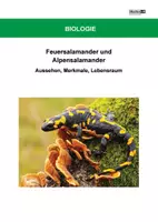 Vorschau - Arbeitsblätter - Feuersalamander/Alpensalamander: Arbeitsblätter mit Lösung - Deckblatt