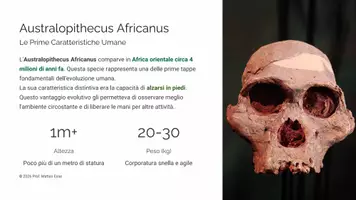 anteprima - Presentazioni / Lavagne - Le Tappe evolutive della Specie Umana - Pagina 2