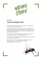 Vorschau - Quiz - Nature Stories: Biologische Rätselgeschichten für Sek. I & II - Seite 3