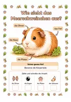 Vorschau - Stationenlernen - Alles rund um das Meerschweinchen - Wissens- & Mitmachheft (Kita – 1. Klasse) - Seite 1