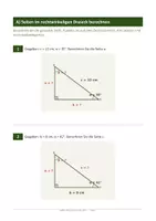 Vorschau - Arbeitsblätter - Trigonometrie & Winkelfunktionen – 5. Klasse AHS Rechtwinklige Dreiecke, Einheitskreis & Anwendungen - Seite 2