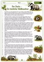 Vorschau - Unterrichtsreihen - Tiere des Waldes – Lesen & Zuhören: Differenzierte ABs, Audios - Seite 1