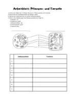 Vorschau - Arbeitsblätter - Arbeitsblatt_Pflanzenzelle und Tierzelle - Seite 1