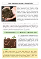 Vorschau - Arbeitsblätter - Bodenlebewesen Ökosystem: Humus, Zersetzung & Regenwürmer - Seite 2