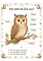 Vorschau - Arbeitsblätter - Alles rund um die Eule – Wissens‑ & Mitmachheft (Kindergarten – 1. Klasse) - Seite 1