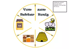 Vorschau - Arbeitsblätter - Honigrad vom Nektar zum Honig - Seite 2