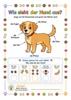 Vorschau - Mal- und Bastelvorlagen - Alles rund um den Hund – Wissens- und Mitmachheft (Kita–1. Klasse) - Seite 1