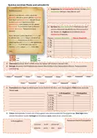 Vorschau - Arbeitsblätter - Induktive Grammatikeinführung Perfekt - Seite 3