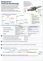 Vorschau - Stationenlernen - Vertretungsstunden Chemie - Klasse 11-12 | 10 Arbeitsblätter - Seite 2