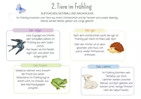 Vorschau - Mal- und Bastelvorlagen - Projektmappe Frühling | Basteln, Natur, Tiere, Wetter | Kindergarten Vorschule - Seite 3