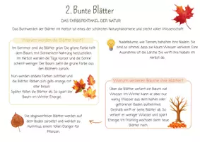 Vorschau - Arbeitsblätter - Projektmappe Herbst | Basteln, Natur, Tiere, Wetter | Kindergarten Vorschule Hort - Seite 3