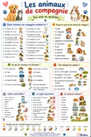 Vorschau - Poster - les animaux de compagnie - Lernplakat - Deckblatt