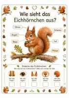 Vorschau - Arbeitsblätter - Alles rund um das Eichhörnchen – Wissens- & Mitmachheft (Kindergarten – 1. Klasse) - Seite 1