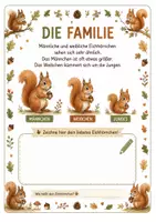 Vorschau - Arbeitsblätter - Alles rund um das Eichhörnchen – Wissens- & Mitmachheft (Kindergarten – 1. Klasse) - Seite 2