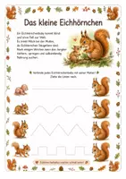 Vorschau - Arbeitsblätter - Alles rund um das Eichhörnchen – Wissens- & Mitmachheft (Kindergarten – 1. Klasse) - Seite 3