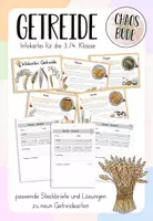 Vorschau - Arbeitsblätter - Getreide - Infokartei und Steckbriefe - Deckblatt