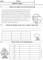 Vorschau - Arbeitsblätter - Adjektive - Seite 3