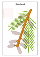Aperçu - Apprentissages en autonomie - Livret d'activités islamiques 2 - Page 2