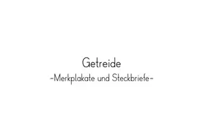 Vorschau - Poster - Getreide - Tafelmaterial für die 3./4. Klasse - Seite 2