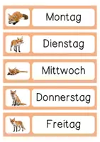 Vorschau - Anderer Materialtyp - Klassentier: Fuchs/Fuchsklasse - Seite 1