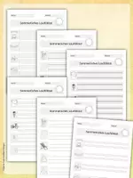 Vorschau - Stundenentwürfe - Laufdiktat Sommer | 15 differenzierte Sätze | Klasse 1 bis 4 | Schleichdiktat, Schreibspaziergang | Arbeitsblätter & Hefteintrag - Seite 3