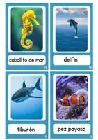 Vista previa - Tarjetas / Manipulativos - PACK LECTOESCRITURA FAUNA Y FLORA MARINA - página 2