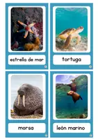Vista previa - Tarjetas / Manipulativos - PACK LECTOESCRITURA FAUNA Y FLORA MARINA - página 3