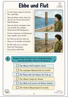 Vorschau - Arbeitsblätter - Strand, Meer und Küste Klasse 3 -4 Lesen und Verstehen - Seite 3