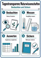 Vorschau - Poster - Tagestransparenz Naturwissenschaften Klasse 5/6 - Seite 3