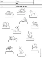Vorschau - Arbeitsblätter - PETS Haustiere - Seite 3