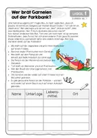 Vorschau - Arbeitsblätter - Logicals SOMMER Klasse 5 - 15 Logical Rätsel - 3-fach differenziert - mit Lösung & Lösungswegen - Logicals Klasse 5 - Leselogicals Deutsch Lese Logicals - Leseverstehen Klasse 5 - Freiarbeit Deutsch Klasse 5 - Freiarbeitsmaterial Deutsch Klasse 5 - Seite 3
