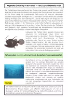 Vorschau - Arbeitsblätter - Tiefsee-Ökosysteme Meeresbiologie - Seite 1