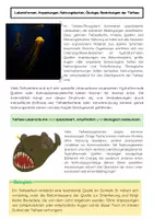 Vorschau - Arbeitsblätter - Tiefsee-Ökosysteme Meeresbiologie - Seite 2