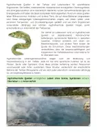 Vorschau - Arbeitsblätter - Tiefsee-Ökosysteme Meeresbiologie - Seite 3