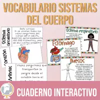 Vista previa - Tarjetas / Manipulativos - Sistemas del cuerpo Cuaderno interactivo de vocabulario - Portada