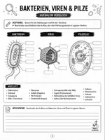 Vorschau - Stundenentwürfe - Bakterien, Viren & Pilze - Aufbau und Vergleich | Biologie EF-Q2 | Kostenloses Freebie - Seite 2