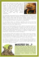 Vorschau - Arbeitsblätter - Eidechsen - Haustiercheck - Seite 2
