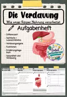 Vorschau - Stundenentwürfe - WACHSENDES Materialpaket - Ich und mein Körper - Deckblatt