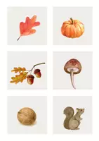 Vista previa - Tarjetas / Manipulativos - IMÁGENES OTOÑO - página 1