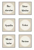 Vorschau - Stationenlernen - Frühblüher: Paare finden - Seite 2