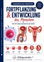 Vorschau - Stundenentwürfe - Geschlechtsorgane & Fortpflanzung | Schwangerschaft | Genetik | Reproduktionsmedizin | Biologie EF-Q2 - Seite 2